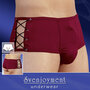 Herren-Pants-Bordo