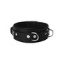 Strict-Leather-Halsband-mit-Verriegelung