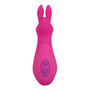 Bunny-Vibrator-in-Pink-mit-10-Stufen